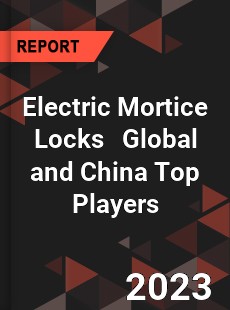 Electric Mortice Locks Global and China Top Players Market