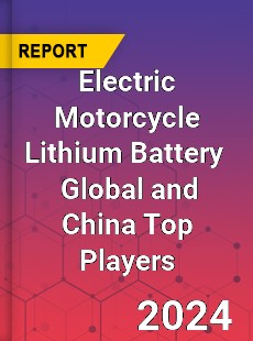 Electric Motorcycle Lithium Battery Global and China Top Players Market