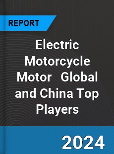 Electric Motorcycle Motor Global and China Top Players Market