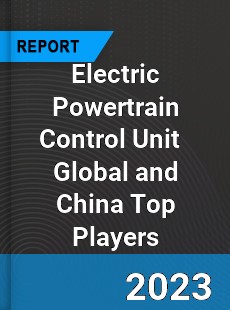 Electric Powertrain Control Unit Global and China Top Players Market