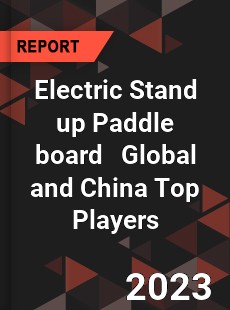 Electric Stand up Paddle board Global and China Top Players Market