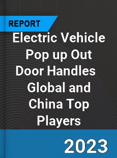 Electric Vehicle Pop up Out Door Handles Global and China Top Players Market