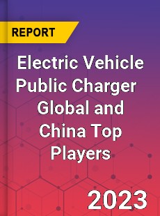 Electric Vehicle Public Charger Global and China Top Players Market