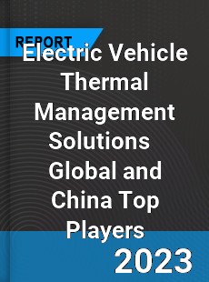 Electric Vehicle Thermal Management Solutions Global and China Top Players Market