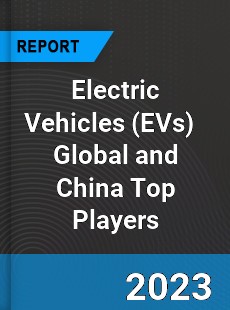 Electric Vehicles Global and China Top Players Market