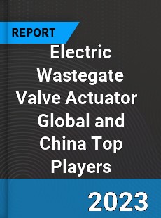 Electric Wastegate Valve Actuator Global and China Top Players Market