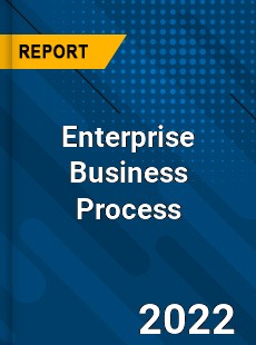 Enterprise Business Process Analysis