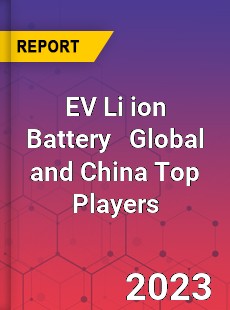 EV Li ion Battery Global and China Top Players Market