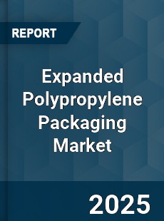 Expanded Polypropylene Packaging Market