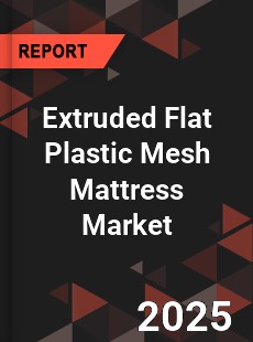 Extruded Flat Plastic Mesh Mattress Global Market