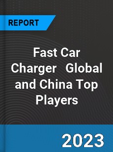 Fast Car Charger Global and China Top Players Market