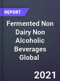 Fermented Non Dairy Non Alcoholic Beverages Global Market