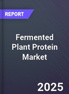 Fermented Plant Protein Global and China Top Players Market