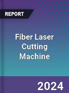 Fiber Laser Cutting Machi...