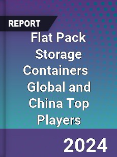 Flat Pack Storage Containers Global and China Top Players Market