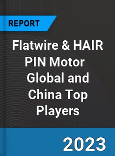 Flatwire amp HAIR PIN Motor Global and China Top Players Market
