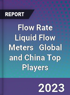 Flow Rate Liquid Flow Meters Global and China Top Players Market