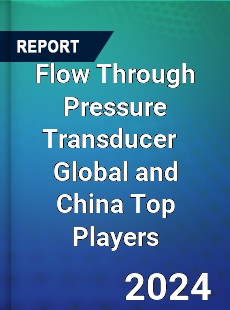 Flow Through Pressure Transducer Global and China Top Players Market