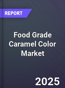 Food Grade Caramel Color Global and China Top Players Market