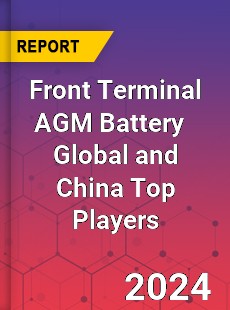Front Terminal AGM Battery Global and China Top Players Market