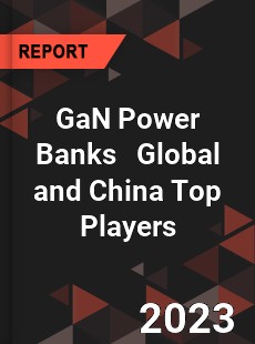 GaN Power Banks Global and China Top Players Market