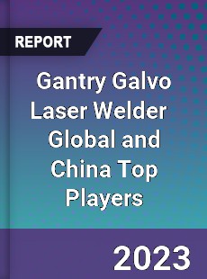 Gantry Galvo Laser Welder Global and China Top Players Market