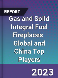 Gas and Solid Integral Fuel Fireplaces Global and China Top Players Market
