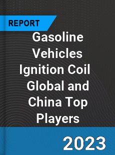 Gasoline Vehicles Ignition Coil Global and China Top Players Market
