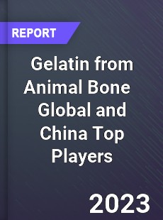 Gelatin from Animal Bone Global and China Top Players Market