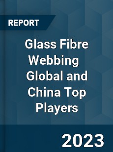 Glass Fibre Webbing Global and China Top Players Market