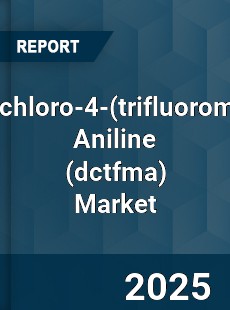 Global 2 6 Dichloro 4 Aniline Market
