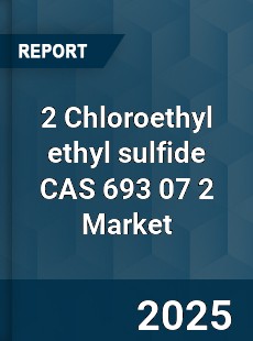 Global 2 Chloroethyl ethyl sulfide CAS 693 07 2 Industry