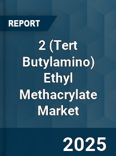 Global 2 Ethyl Methacrylate Market
