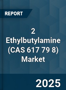 Global 2 Ethylbutylamine Market