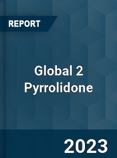Global 2 Pyrrolidone Market
