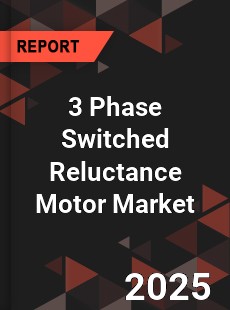 3 Phase Switched Reluctance Motor Market