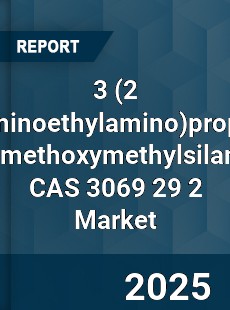 Global 3 propyl dimethoxymethylsilane CAS 3069 29 2 Industry