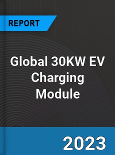Global 30KW EV Charging Module Industry