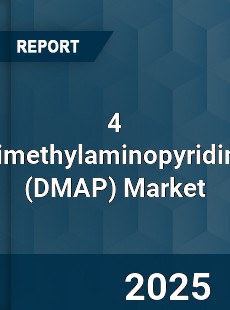 Global 4 Dimethylaminopyridine Market