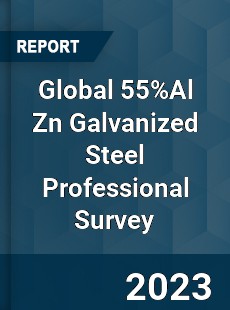 Global 55 Al Zn Galvanized Steel Professional Survey Report