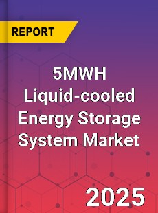 Global 5MWH Liquid cooled Energy Storage System Industry