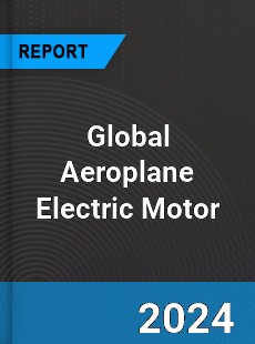 Global Aeroplane Electric Motor Market