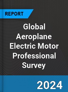 Global Aeroplane Electric Motor Professional Survey Report