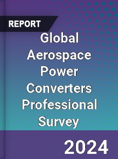 Global Aerospace Power Converters Professional Survey Report