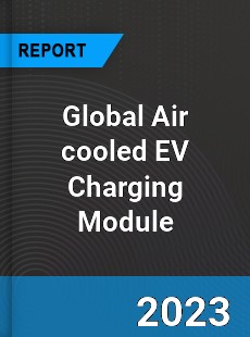 Global Air cooled EV Charging Module Industry