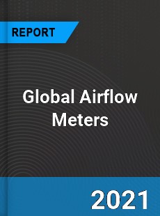 Global Airflow Meters Industry