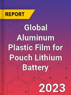 Global Aluminum Plastic Film for Pouch Lithium Battery Industry