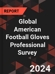 Global American Football Gloves Professional Survey Report