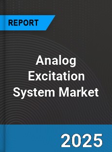 Global Analog Excitation System Market