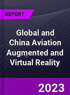 Global and China Aviation Augmented and Virtual Reality Industry